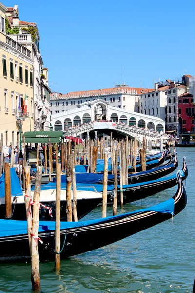 Rialto bridge — Stock Photo, Image