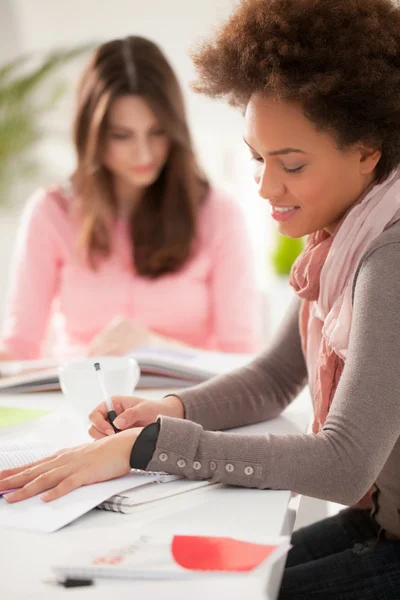 Ler kvinnor studera tillsammans — Stockfoto