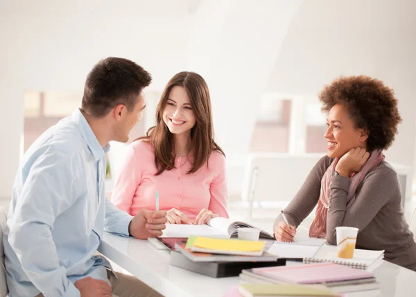 Multiethnic Group of College Students Studying Together — Stock Photo, Image