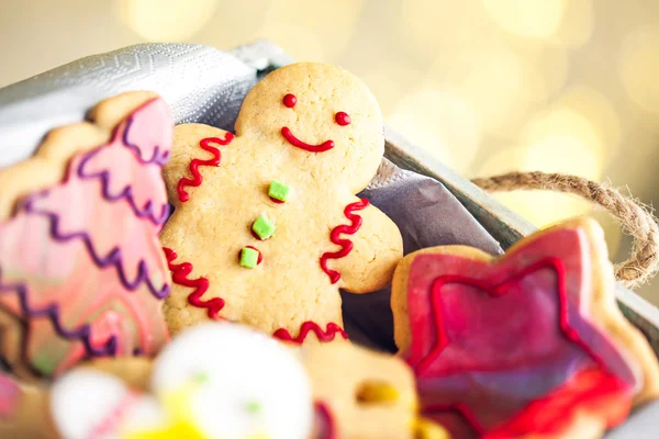 Biscoitos de gengibre — Fotografia de Stock