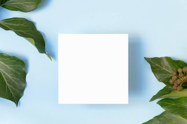 Açık mavi arkaplanda yeşil yaprakların üst görünümü ve beyaz boş kart, boşluk kopyala