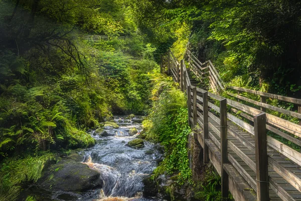 Dřevěný promenáda podél řeky obklopen zeleným lesem Glenariff Forest Park — Stock fotografie