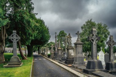 İrlanda 'daki Glasnevin Mezarlığı' nda Kelt haçları ve heykelleri olan mezarlar