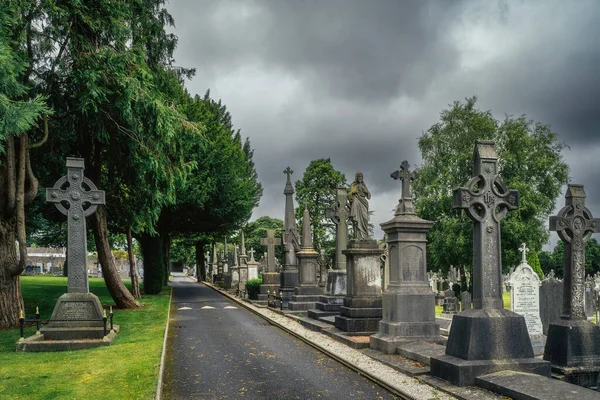İrlanda 'daki Glasnevin Mezarlığı' nda Kelt haçları ve heykelleri olan mezarlar