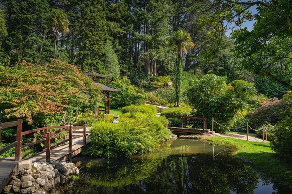 Jardín de estilo japonés con estanques, senderos, puentes y vegetación verde en los jardines Powerscourt, Irlanda —  Fotos de Stock