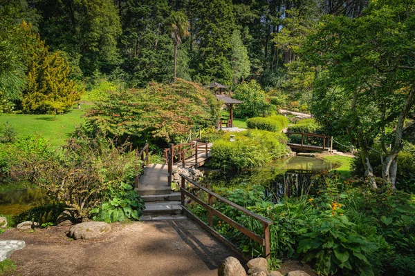 Jardín Estilo Japonés Con Estanques Senderos Pequeños Puentes Madera Exuberante —  Fotos de Stock