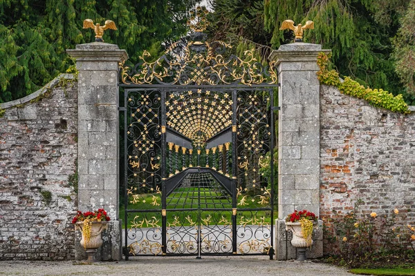 Belle Porte Fer Forgé Ornée Avec Des Détails Dorés Dans — Photo