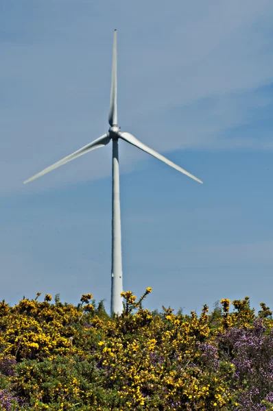 Windpark — Stockfoto