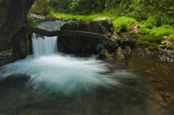 Wasserfall — Stockfoto