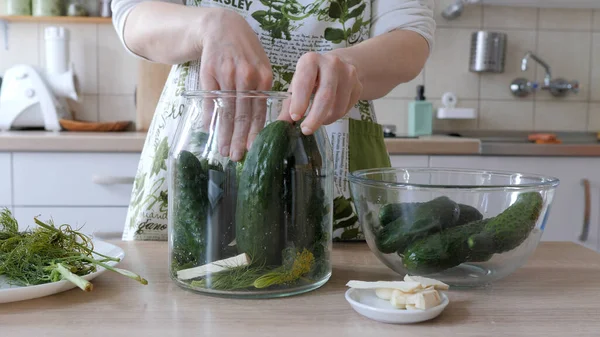 Woman Preparing Homemade Sour Cucumbers — Stok fotoğraf