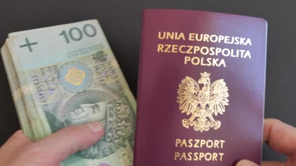 Ταξιδιωτικά Χρήματα Polish Zlotych Και Πολωνικό Διαβατήριο — Αρχείο Βίντεο