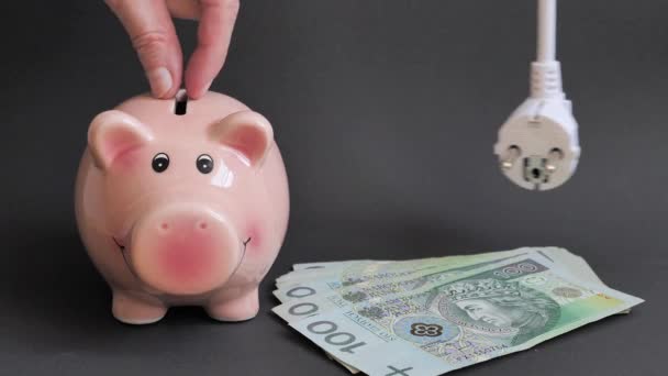 Концепція Енергозбереження Зберегти Гроші Польські Гроші Поруч Голубим Банком — стокове відео