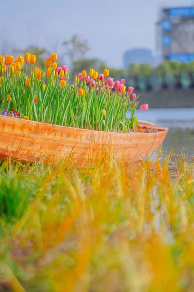 Tulpen Glitzerten Fluss — Stockfoto