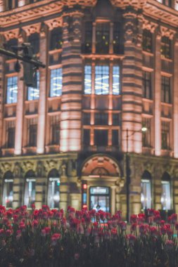 Şangay 'daki laleler harikadır.