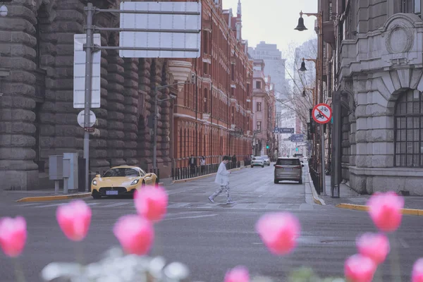 Tulipas Bund Xangai Primavera — Fotografia de Stock