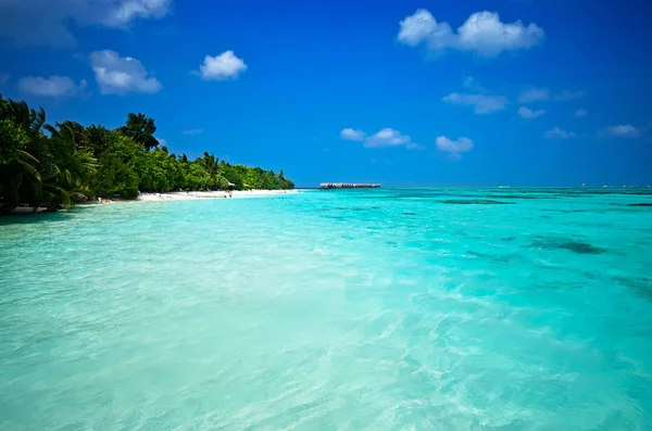 Beach Maldivler göster