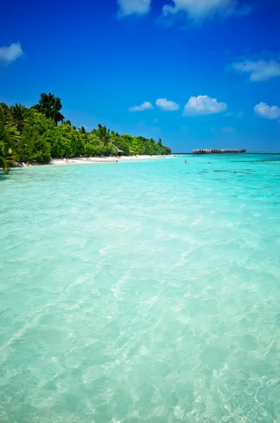 Vue sur la plage Maldives — Photo