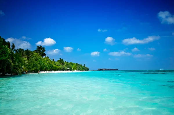 Maldivas con vista a la playa — Foto de Stock