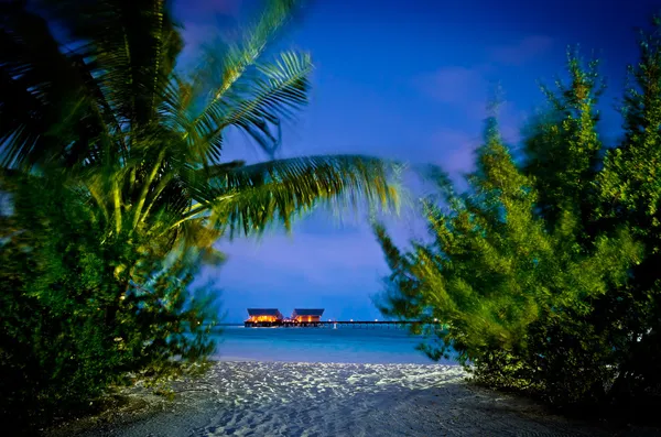 Palm beach villas adlı gece Maldivler görünümüne