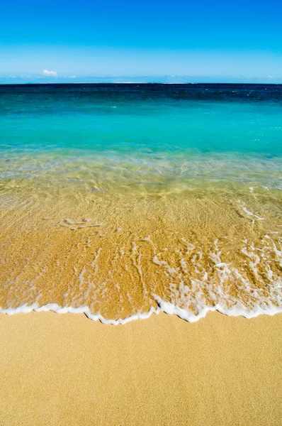 Mauricius beach — Stock fotografie