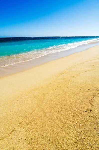 Pláž na Mauricius — Stock fotografie