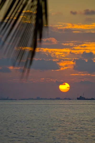 Cielo marino del sur enmarcado — Foto de Stock