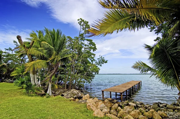 Landing stage between palms — Stock Photo, Image