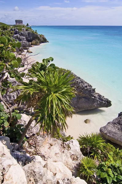 Tulum — Stok fotoğraf