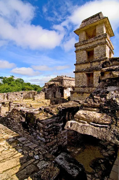 Palenque — Stock Photo, Image