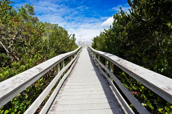 Strandpromenaden — Stockfoto