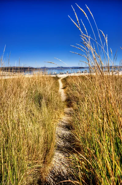 Caminho para o mar — Fotografia de Stock