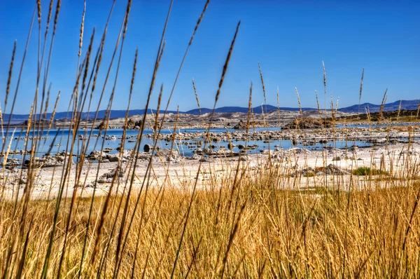 Way to the sea — Stock Photo, Image