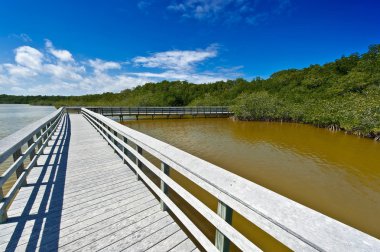Boardwalk everglades üzerinden