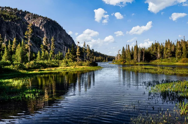 Lake scenery in a national park — Stock Photo, Image
