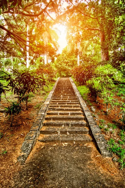 Caminho para os iluministas — Fotografia de Stock