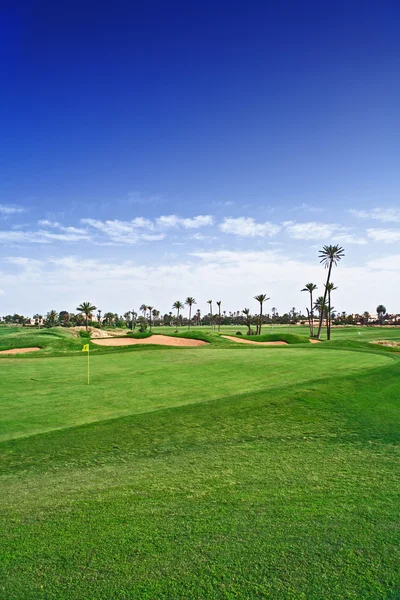 Golfing under palm trees — Stock Photo, Image