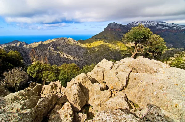 Bergen van mallorca — Stockfoto