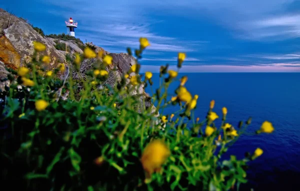 崖の上の灯台 — ストック写真