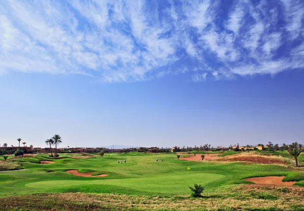 palmiye ağaçlarının altında Golf