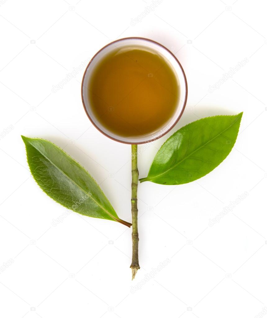 Green tea and green leaves Stock Photo by ©basalt12 25626603