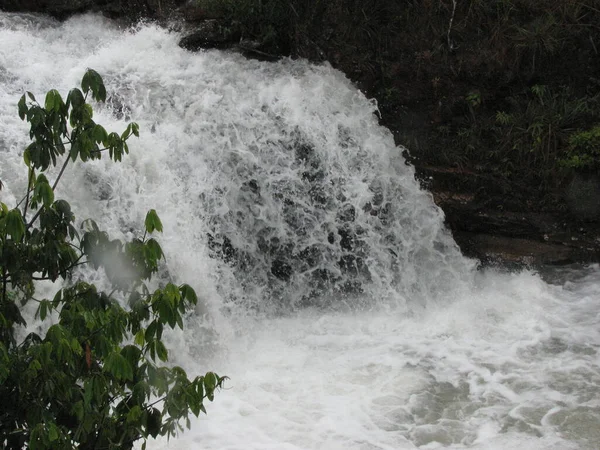 Cascade Dans Parc — Photo