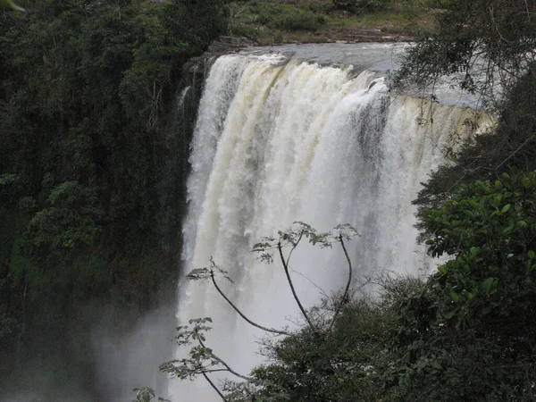 緑のサバーナ ボリバル ベネズエラの木と滝 — ストック写真