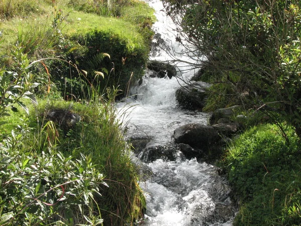 Hermosa Vista Del Río Bosque — Foto de Stock