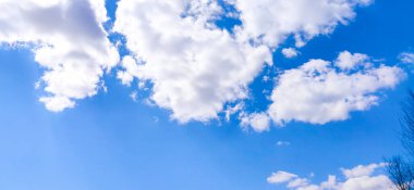 Bayrak güzel bulutlu gökyüzü ve yapraksız ağaç siluetleri