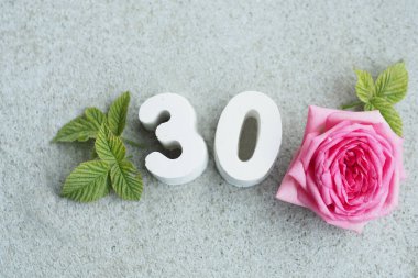 30 numaralı beton ve gri arka planda yaprakları ve kalpleri olan güzel bir gül.