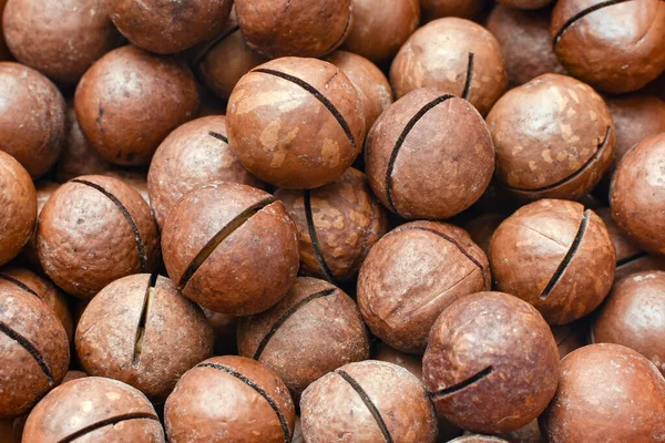 Macadamia nuts close up. healthy dietary food — Stok fotoğraf
