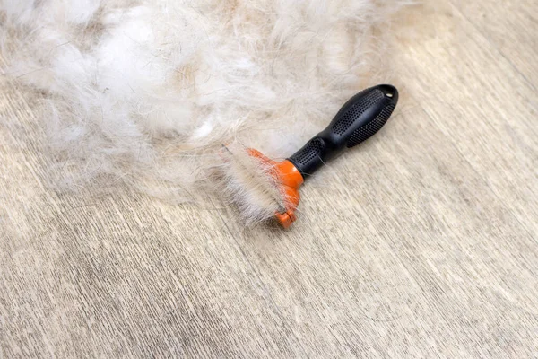 Furminator para animales de aseo. pelo de perro. moho —  Fotos de Stock