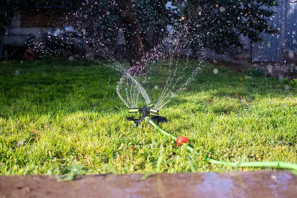 portable lawn sprinkler sprinkles water on green lawn. High quality photo