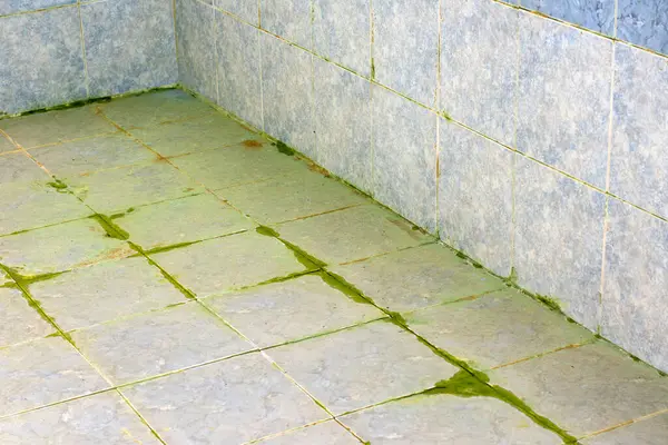 algae and dirt on the floor and walls of the pool. High quality photo