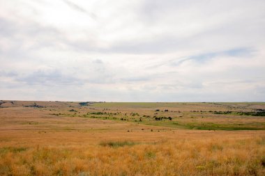 Bakir toprakların üzerindeki bulutlar çayırlarla kaplıdır. Yüksek kalite fotoğraf
